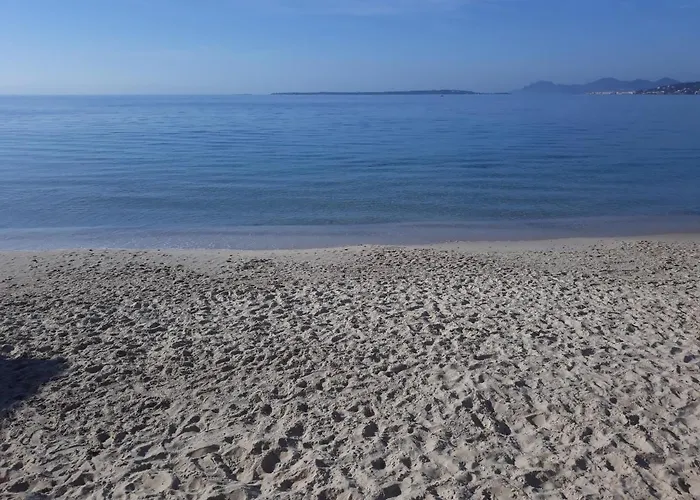 Le Palais Du Tropique Vue 5e Etage Avec Ascenseur Juan-les-Pins