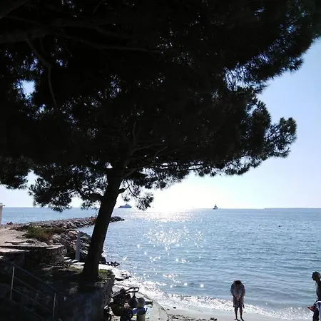 Apartment Le Palais Du Tropique Vue 5e Etage Avec Ascenseur *